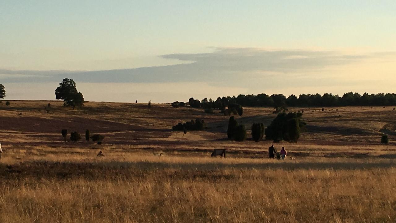 Niederhaverbeck Gasthof Menke מראה חיצוני תמונה